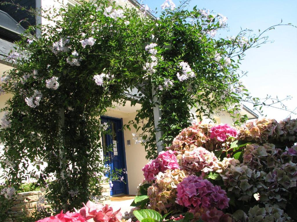 L'Escale Evel Er Ger Bed & Breakfast Locquirec Exterior foto